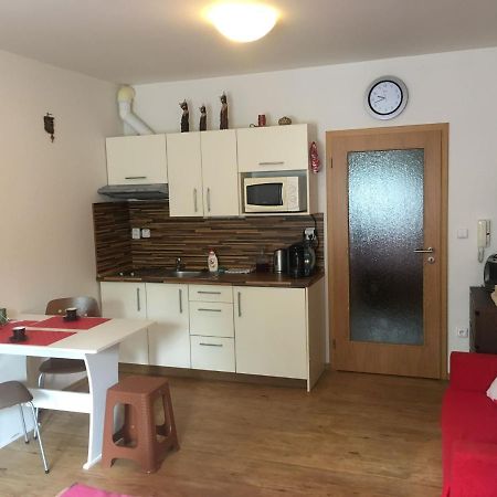 Apartman Na Pohodu 25 Lejlighed Lipno nad Vltavou Eksteriør billede